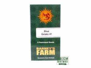 Barney's Farm Blue Gelato 41 X5