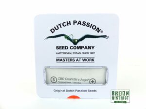 Dutch Passion Seed Company CBD Charlotte's Angel X5