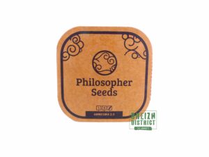 Philisopher Seeds Amnesika 2.0 X 5