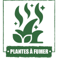 Plantes à Fumer