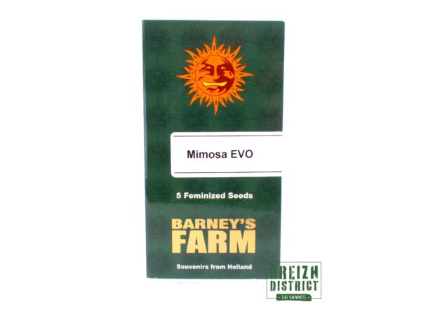 Barney's Farm Mimosa EVO X5