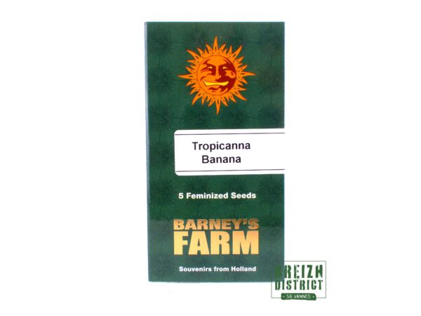 Barney's Farm Tropicanna Banana X5