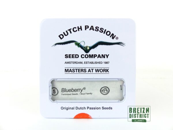 Dutch Passion Seed Company Blueberry X5