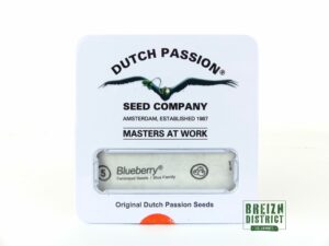 Dutch Passion Seed Company Blueberry X5