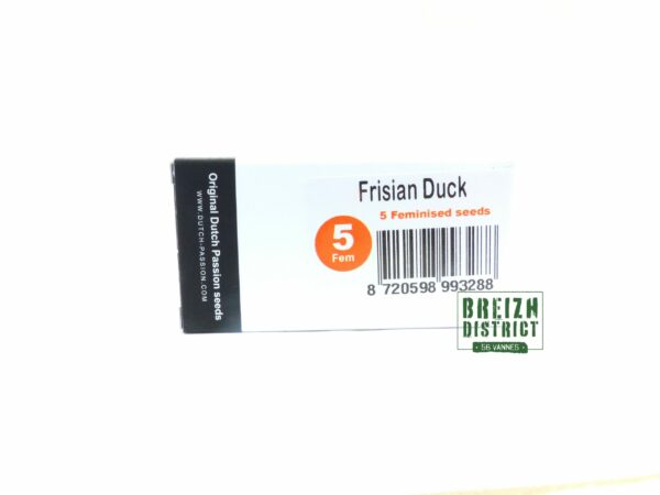 Dutch Passion Seed Company Frisian Duck X5