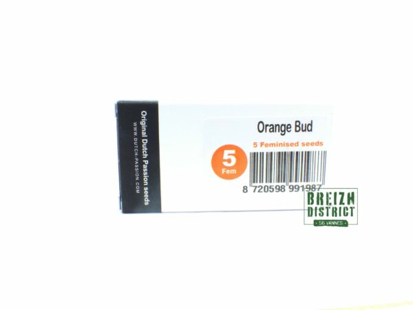 Dutch Passion Seed Company Orange Bud X5