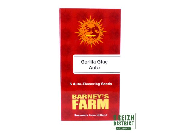 Barney's Farm Gorilla Glue Auto X5