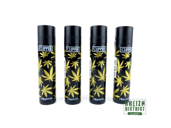 Clipper Golden Leaves