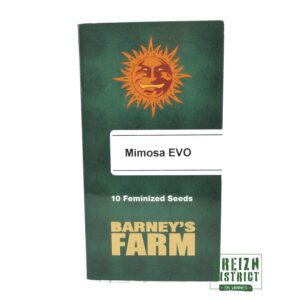 Barney's Farm Mimosa EVO X10
