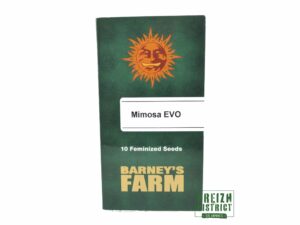 Barney's Farm Mimosa EVO X10