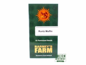 Barney's Farm Runtz Muffin X10