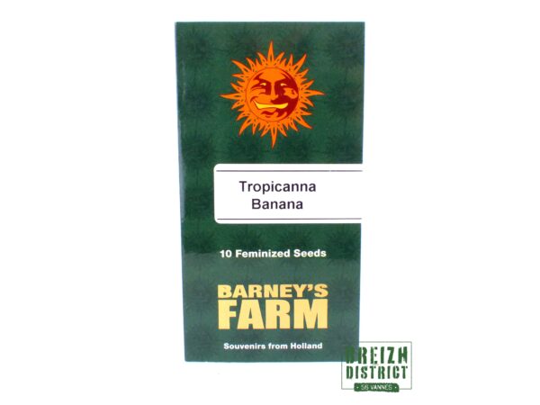 Barney's Farm Tropicanna Banana X10