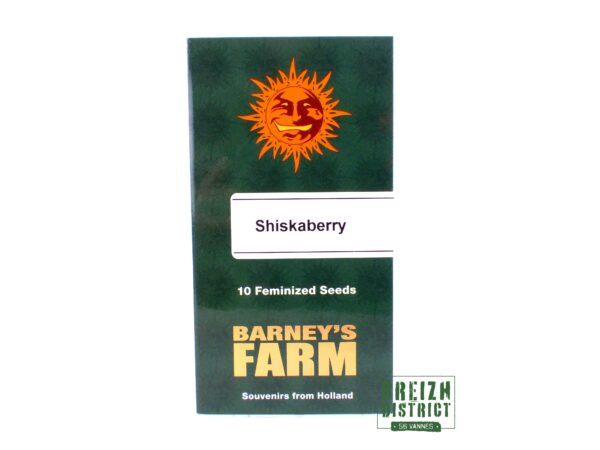 Barney's Farm Shiskaberry X10