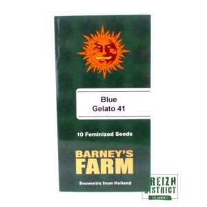 Barney's Farm Blue Gelato 41 X10
