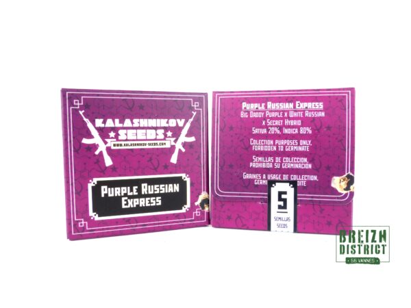 Kalashnikov Seeds Purple Russian Express X5