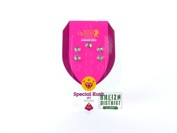 Royal Queen Seeds Special Kush 1 X5