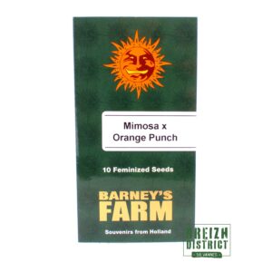 Barney's Farm Mimosa x Orange Punch X10