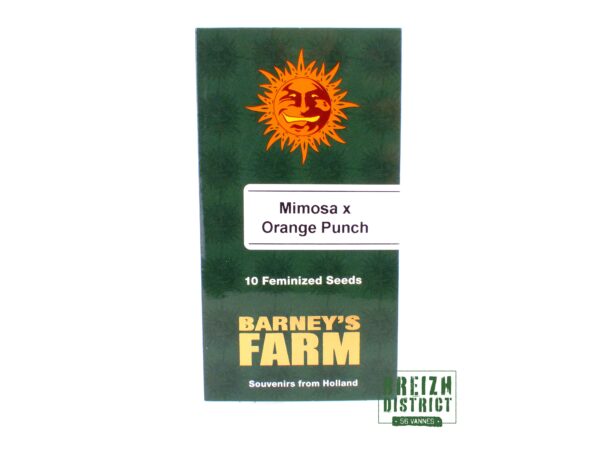 Barney's Farm Mimosa x Orange Punch X10
