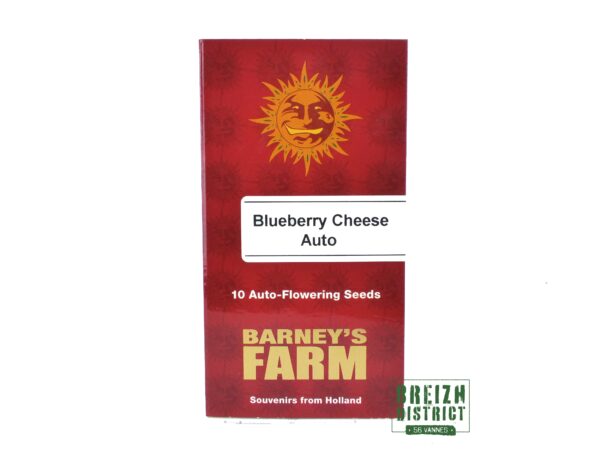 Barney's Farm Blueberry Cheese Auto X10