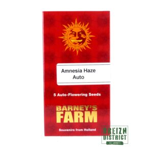 Barney's Farm Amnesia Haze Auto X5