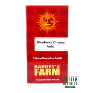 Barney's Farm Blueberry Cheese Auto X5