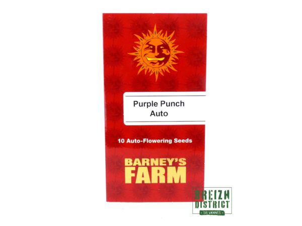 Barney's Farm Purple Punch Auto X10