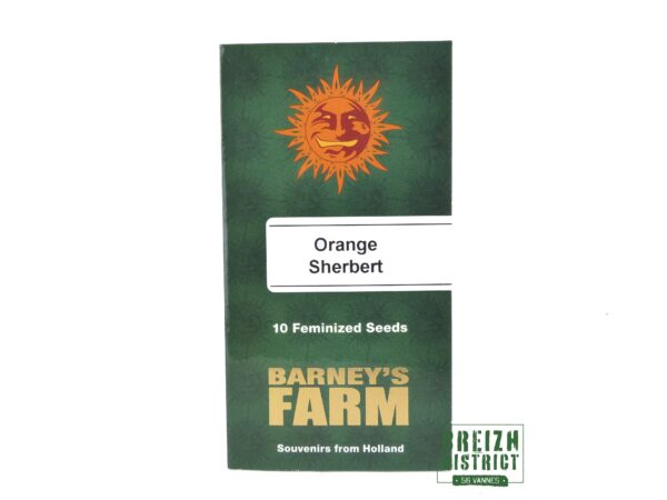 Barney's Farm Orange Sherbert X10