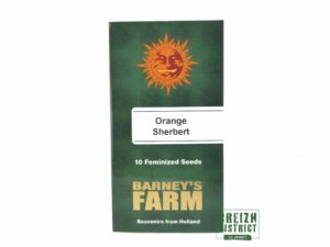 Barney's Farm Orange Sherbert X10