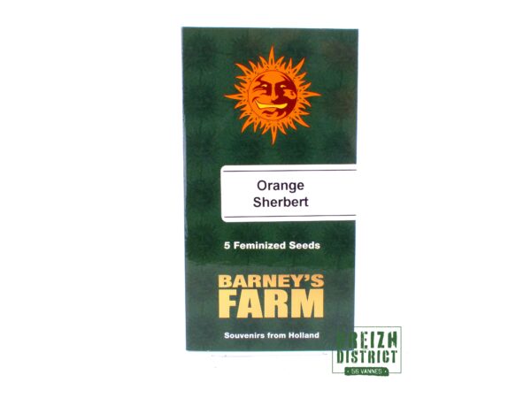 Barney's Farm Orange Sherbert X5