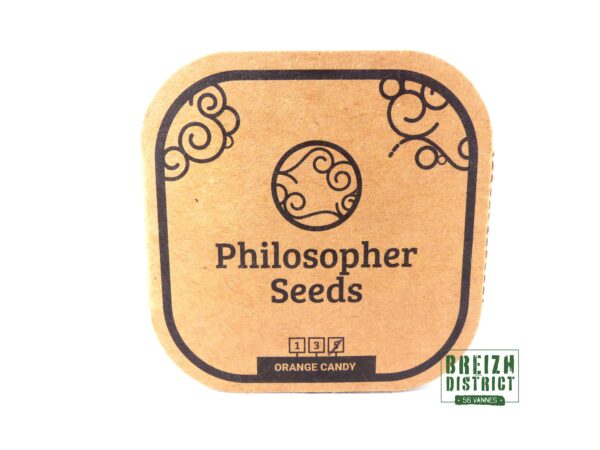 Philosopher Seeds Orange Candy X5