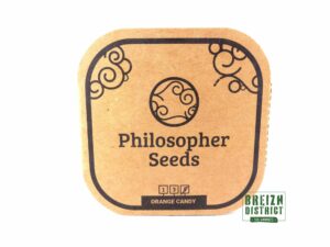 Philosopher Seeds Orange Candy X5