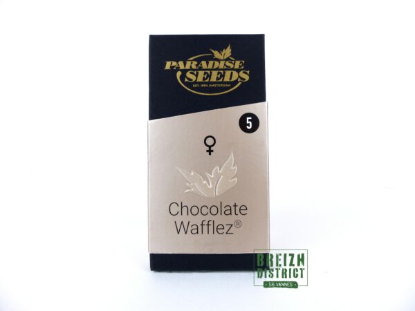 Paradise Seeds Chocolate Wafflez x5