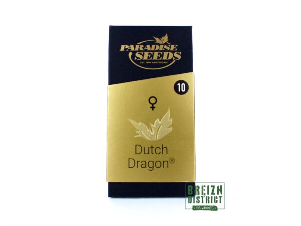 Paradise Seeds Dutch Dragon X10