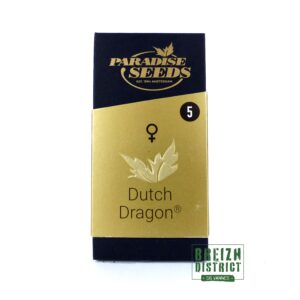 Paradise Seeds Dutch Dragon X5