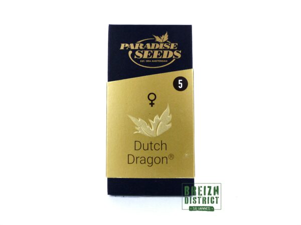 Paradise Seeds Dutch Dragon X5