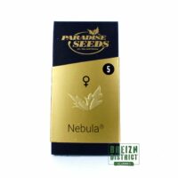 Paradise Seeds Nebula X5