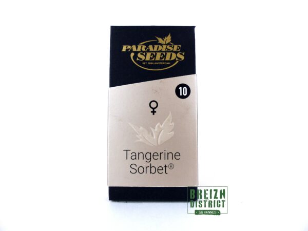 Paradise Seeds Tangerine Sorbet X10