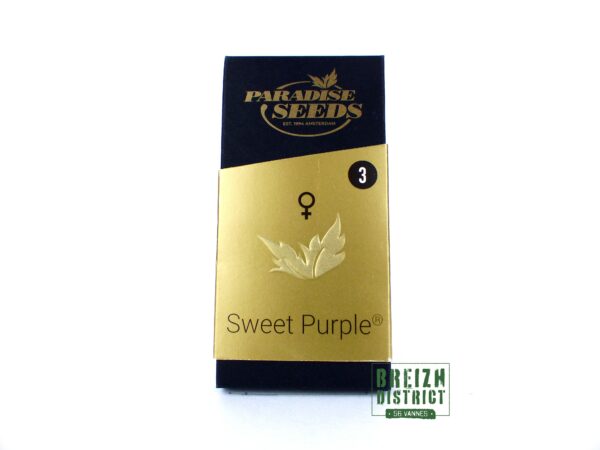 Paradise Seeds Sweet Purple X3