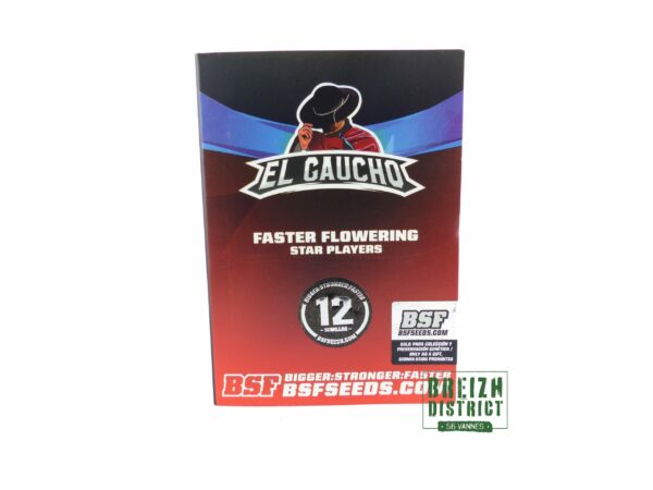 BSF El Gaucho Faster Flowering X12