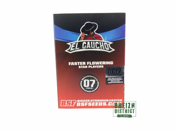 BSF El Gaucho Faster Flowering X7