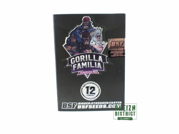 BSF Gorilla Familia X12