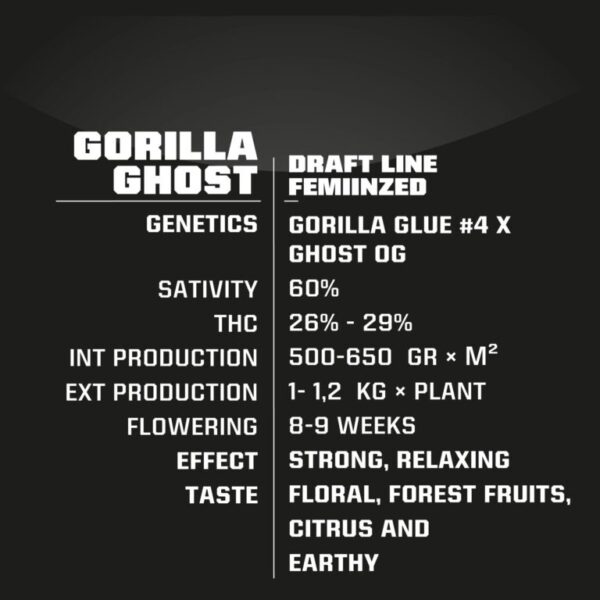 BSF Gorilla Ghost X3