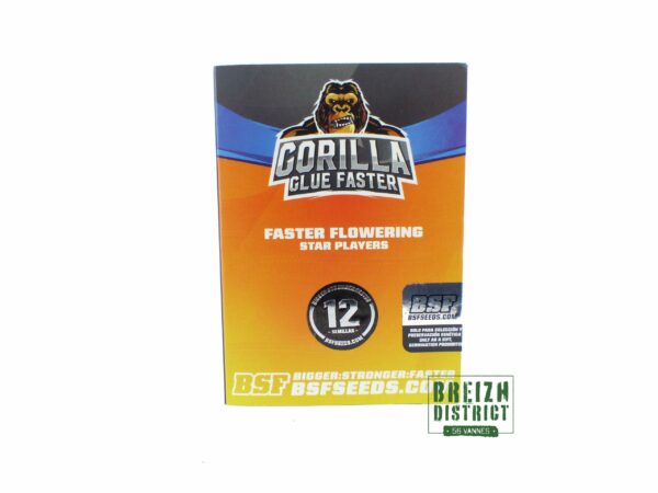 BSF Gorilla Glue Faster X12