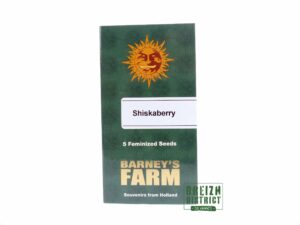 Barney's Farm Shiskaberry X5