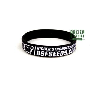 Bracelet BSF Bigger Stronger Faster