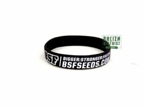 Bracelet BSF Bigger Stronger Faster