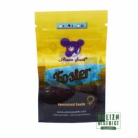 Anesia Seeds Foster