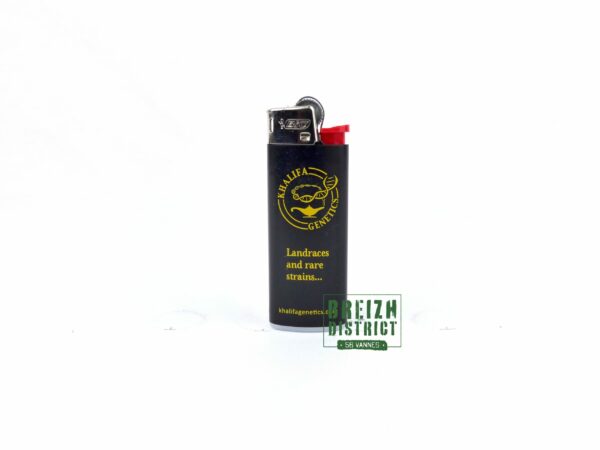 Briquet Khalifa Genetics