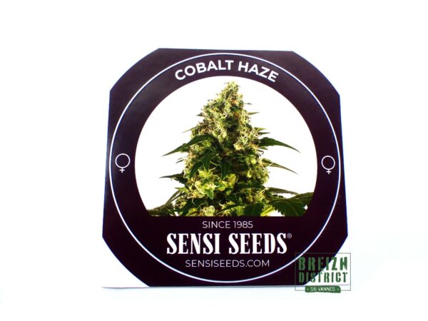 Stickers Sensi Seeds Cobalt Haze