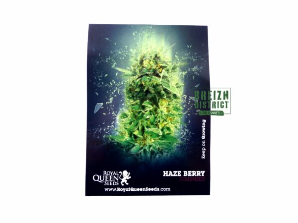 stickers Royal Queen Seeds Haze Berry